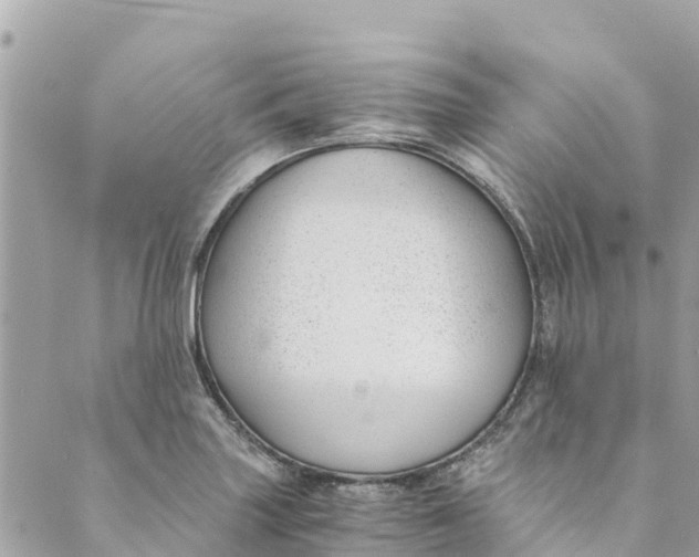 X0000088911227200706291521