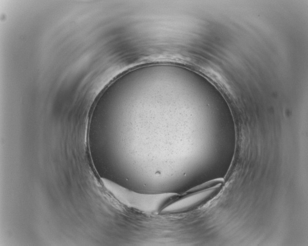 X0000088911228200706291521