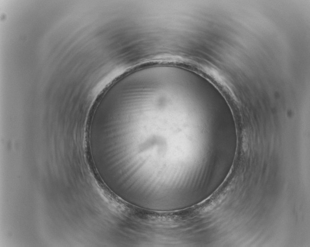 X0000088911229200706291521