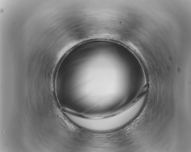 X0000088911230200706291521