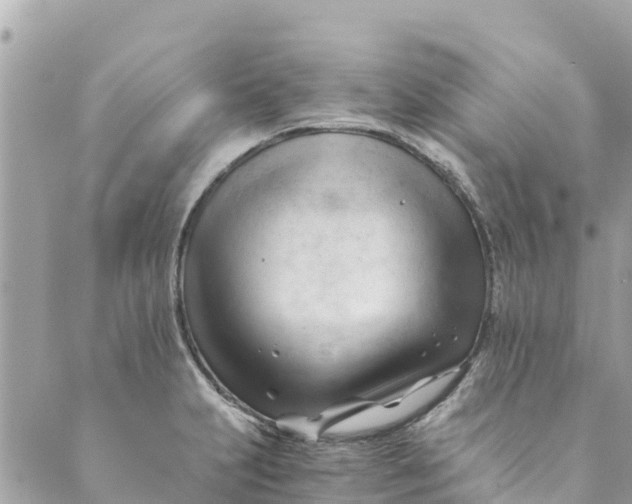 X0000088911231200706291521