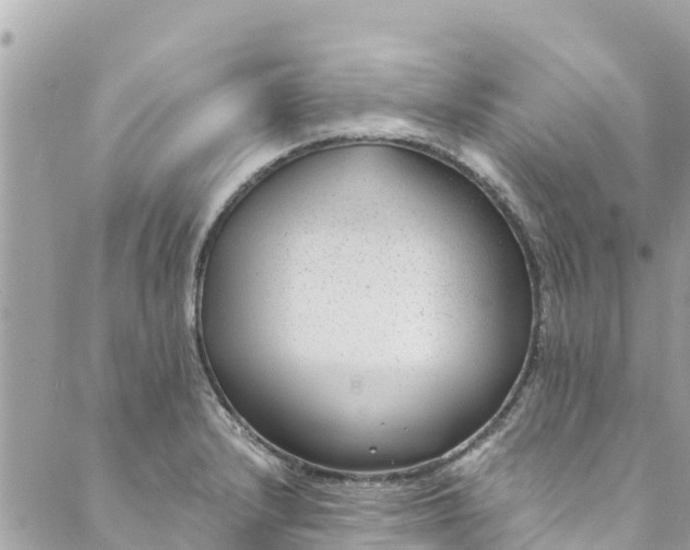 X0000088911232200706291521