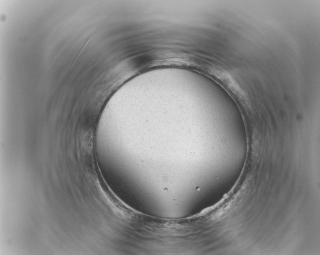 X0000088911233200706291521