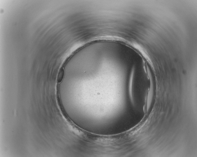 X0000088911237200706291521