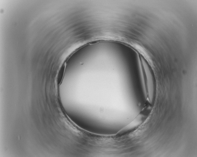 X0000088911238200706291521