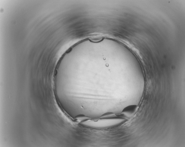 X0000088911239200706291521