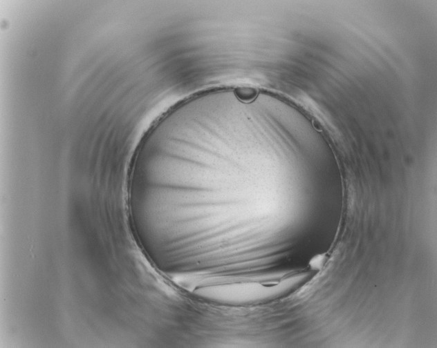 X0000088911240200706291521