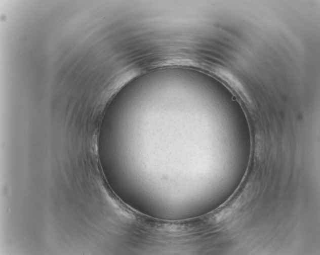 X0000088911241200706291521