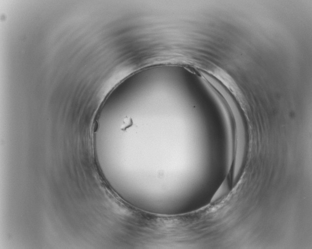 X0000088911242200706291521