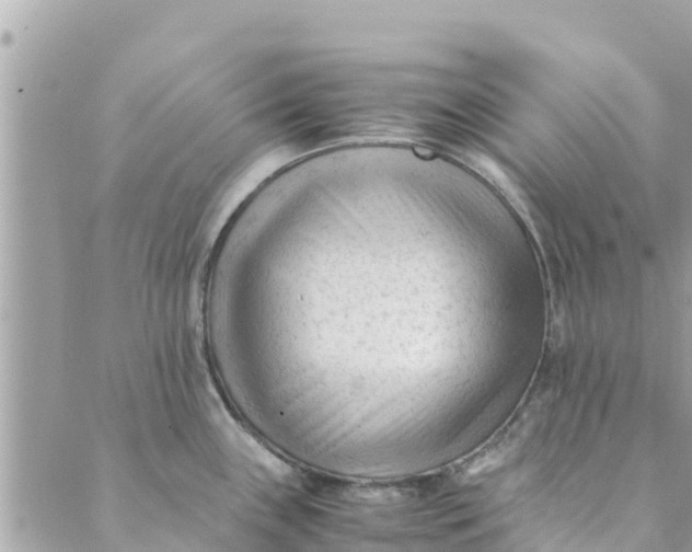 X0000088911243200706291521