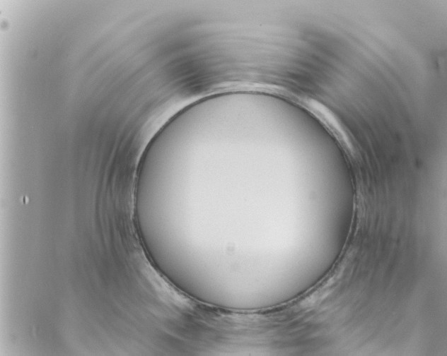 X0000088911244200706291521