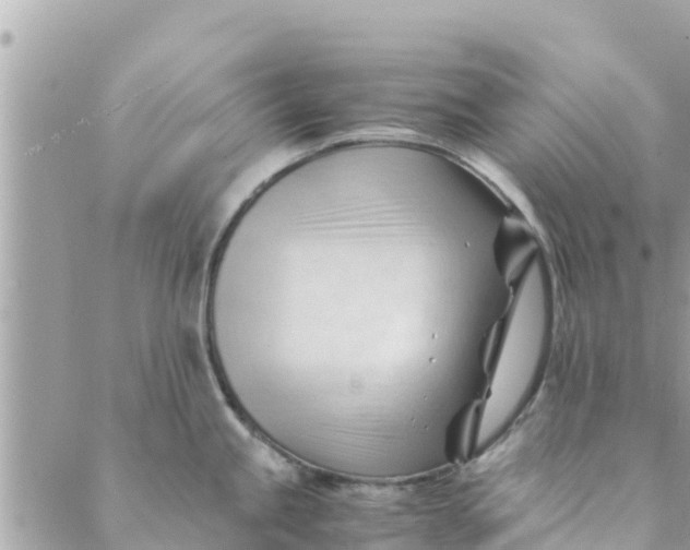 X0000088911245200706291521