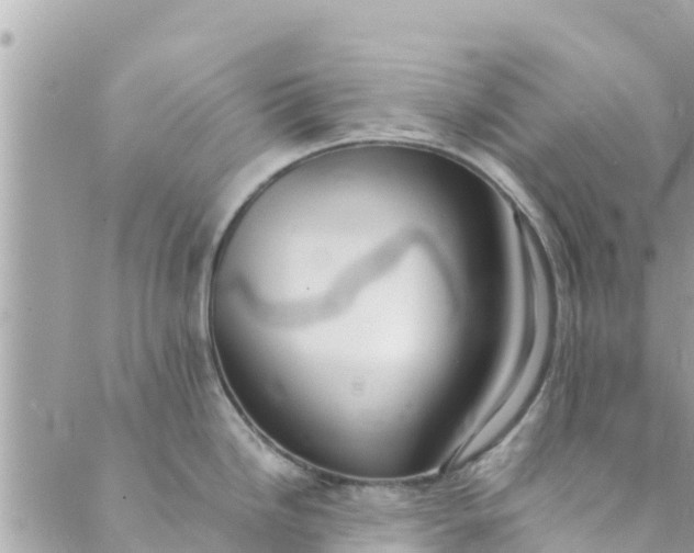 X0000088911246200706291521