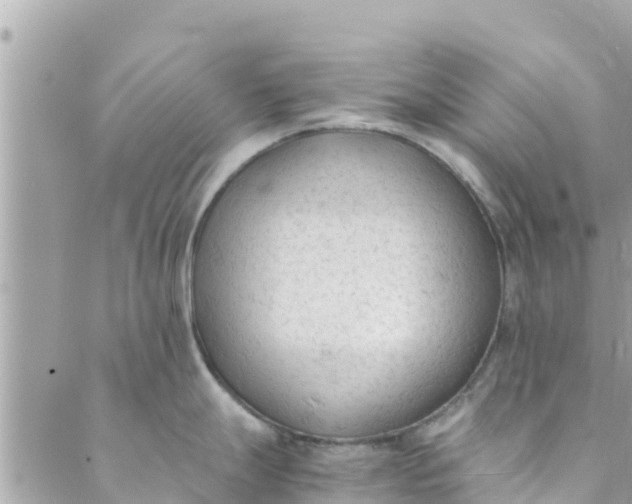 X0000088911247200706291521