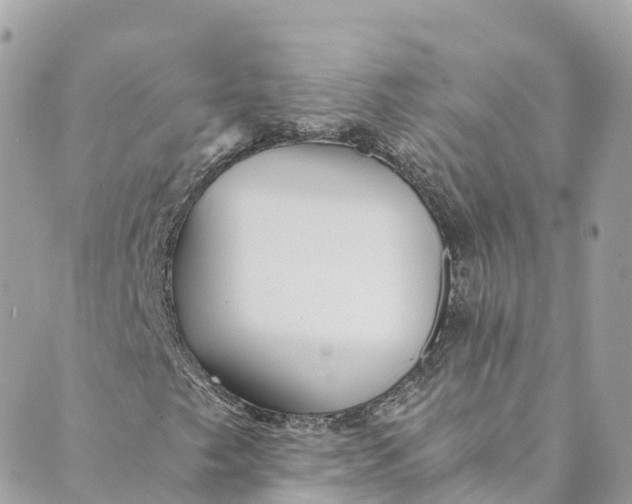 X0000088911249200706291521