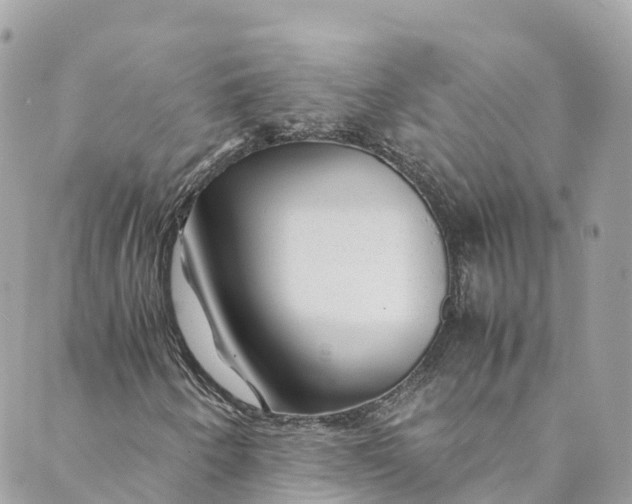 X0000088911250200706291521