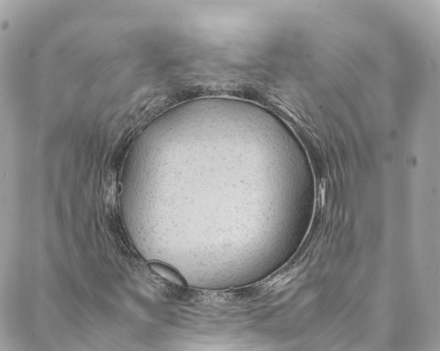 X0000088911251200706291521