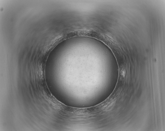 X0000088911252200706291521