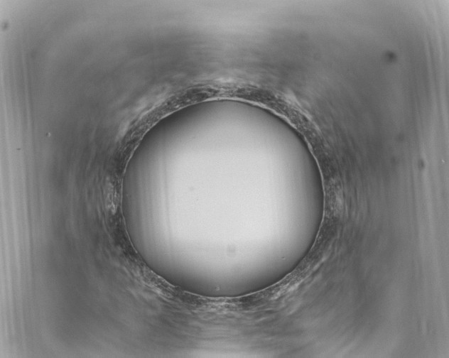 X0000088911253200706291521