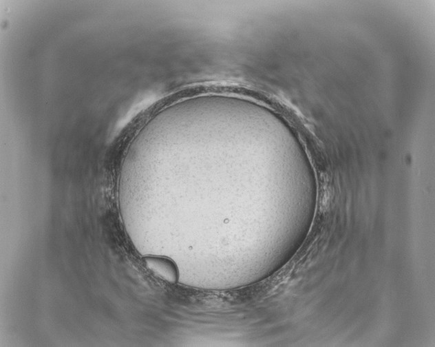 X0000088911255200706291521