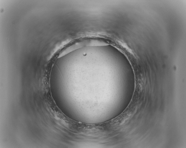 X0000088911256200706291521