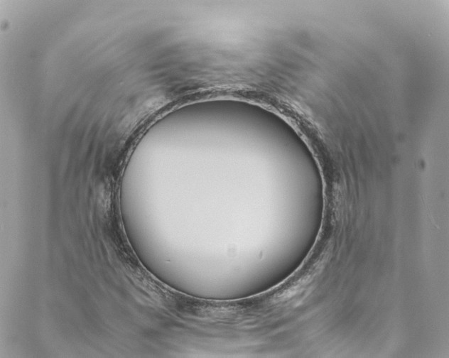 X0000088911257200706291521