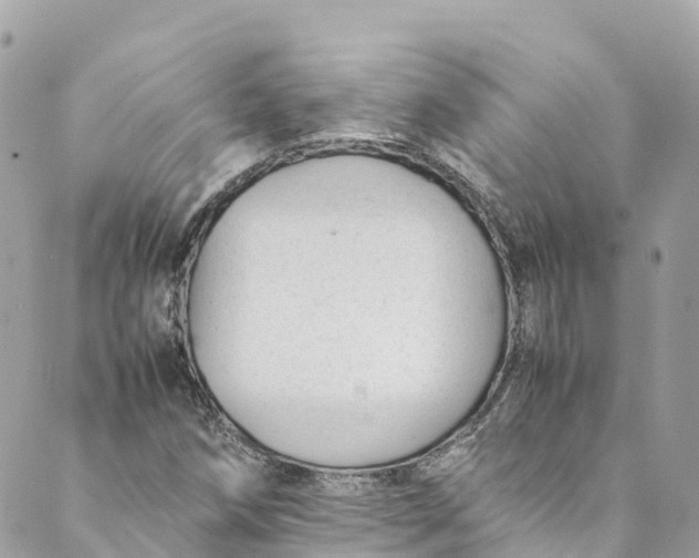 X0000088911258200706291521