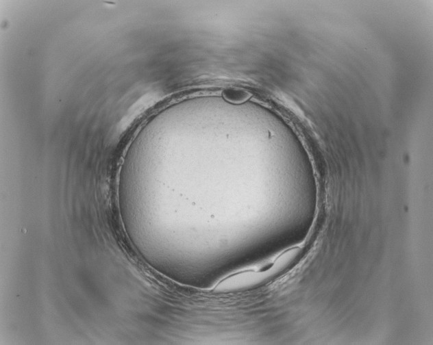 X0000088911259200706291521