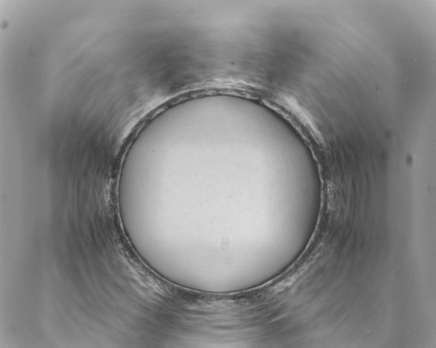 X0000088911260200706291520