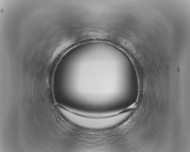 X0000088911261200706291520