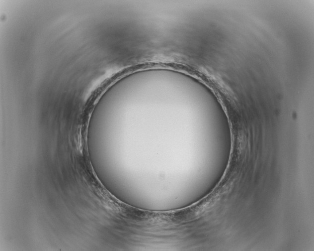 X0000088911262200706291520