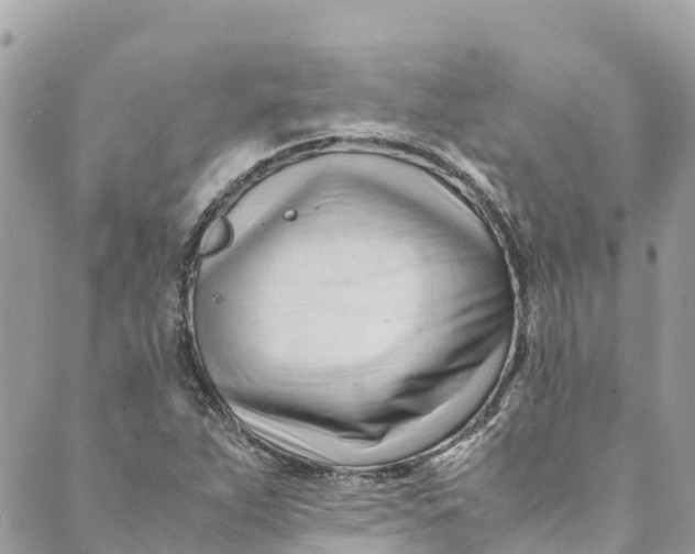 X0000088911263200706291520