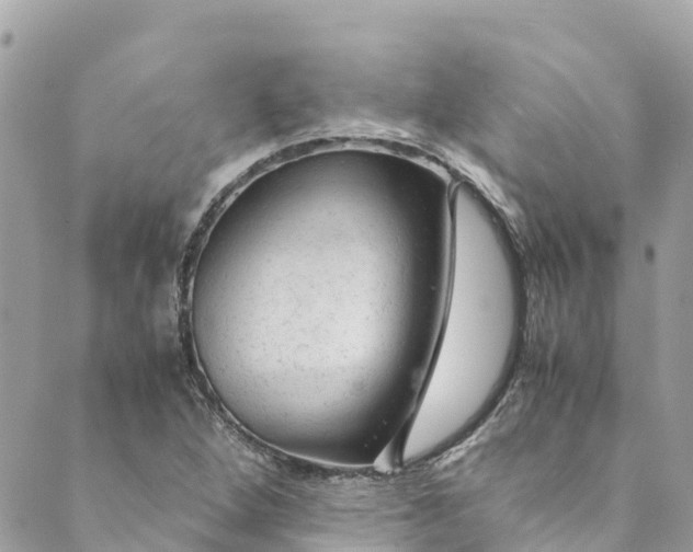 X0000088911264200706291520