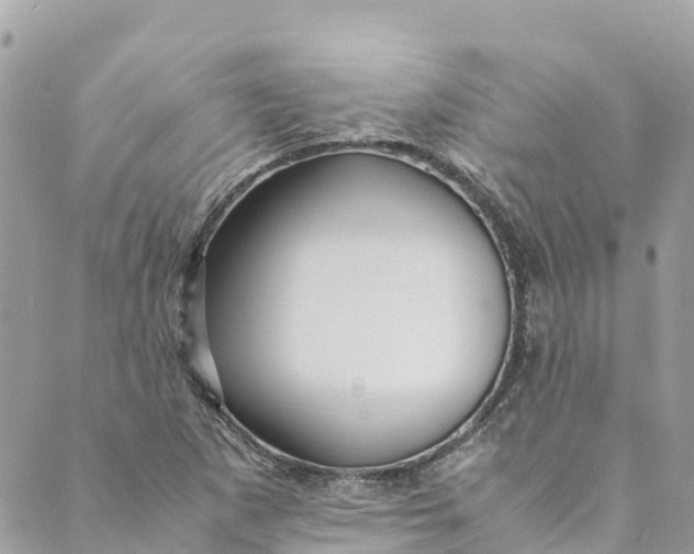 X0000088911265200706291520