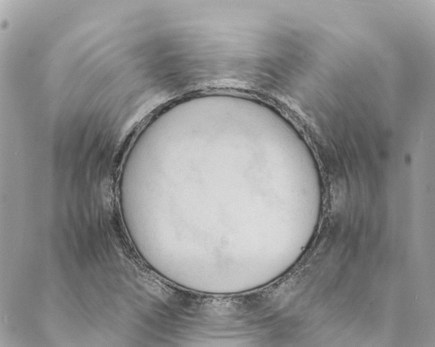 X0000088911266200706291520