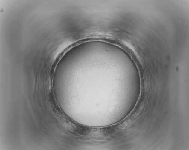 X0000088911267200706291520