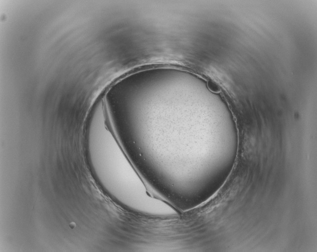 X0000088911268200706291520