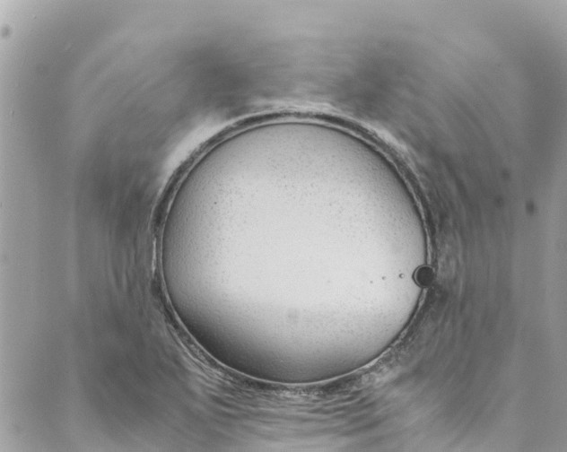 X0000088911271200706291520