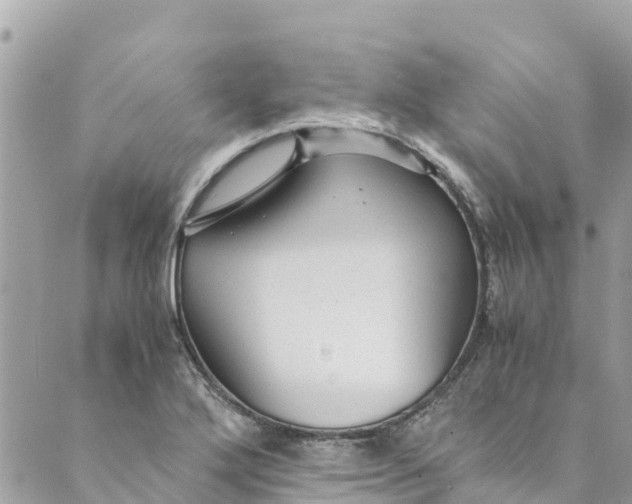 X0000088911272200706291520