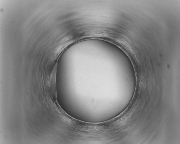 X0000088911273200706291520