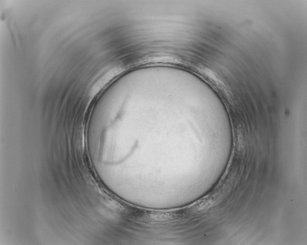 X0000088911274200706291520