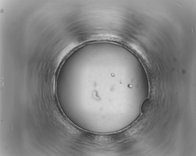 X0000088911275200706291520