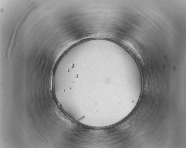 X0000088911276200706291520