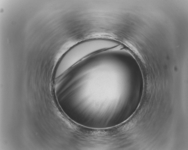 X0000088911277200706291520