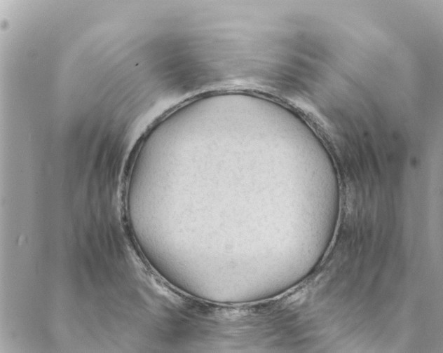 X0000088911278200706291520