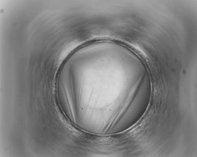 X0000088911279200706291520