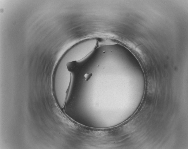 X0000088911280200706291520