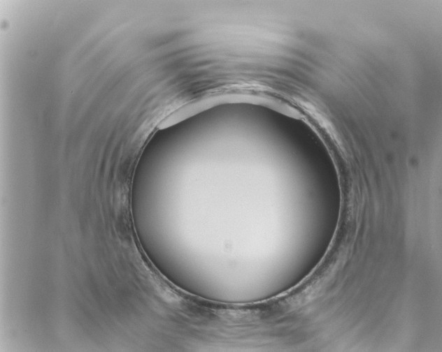 X0000088911281200706291520