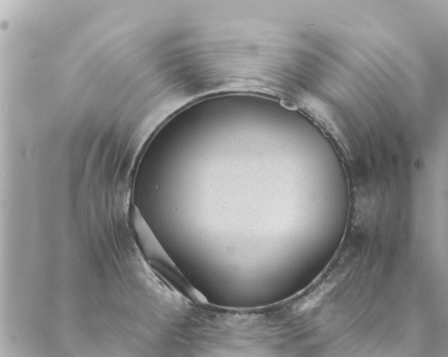 X0000088911284200706291520