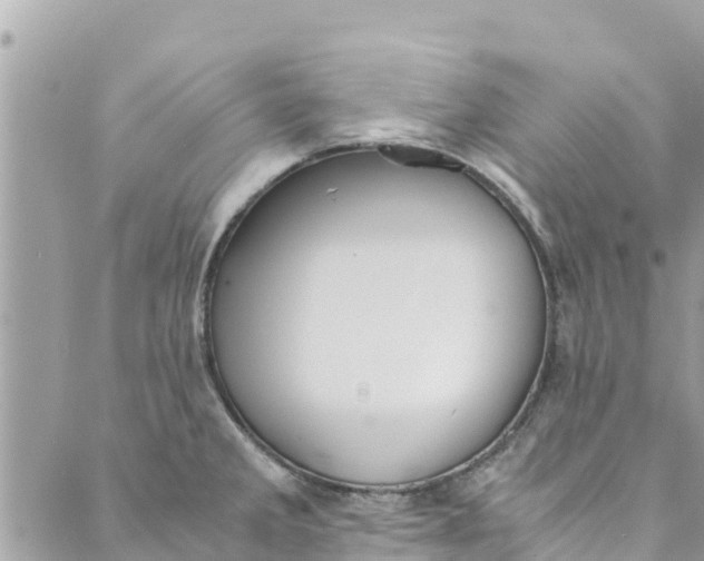 X0000088911285200706291520